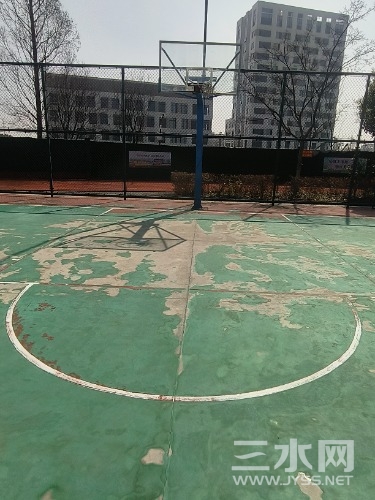 IMG20240303125916.jpg