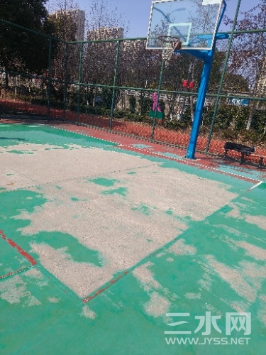 IMG20240303125800.jpg