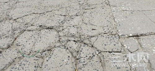 IMG_20240331_083342.jpg