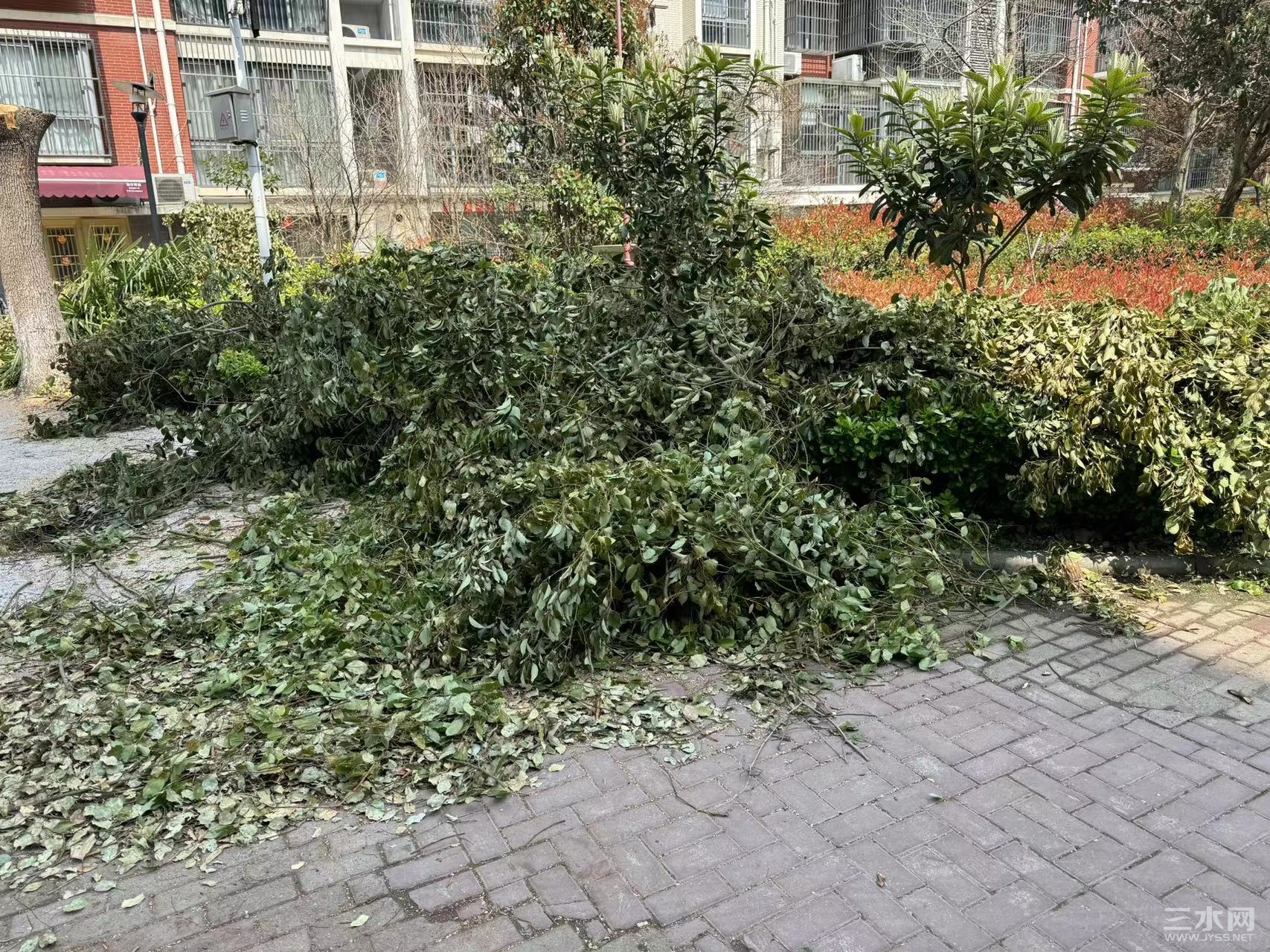 微信图片_20240401083003.jpg