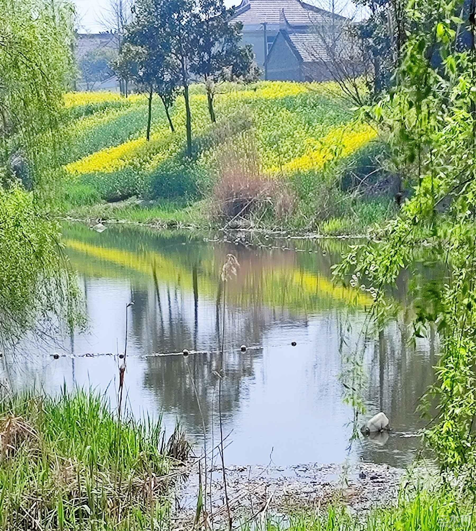 freecompress-QQ图片20240401114541.jpeg