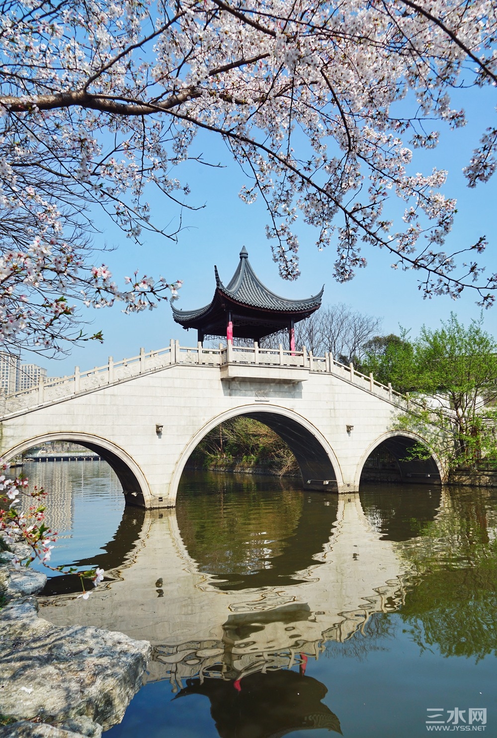 微信图片_20240401143123_副本.jpg