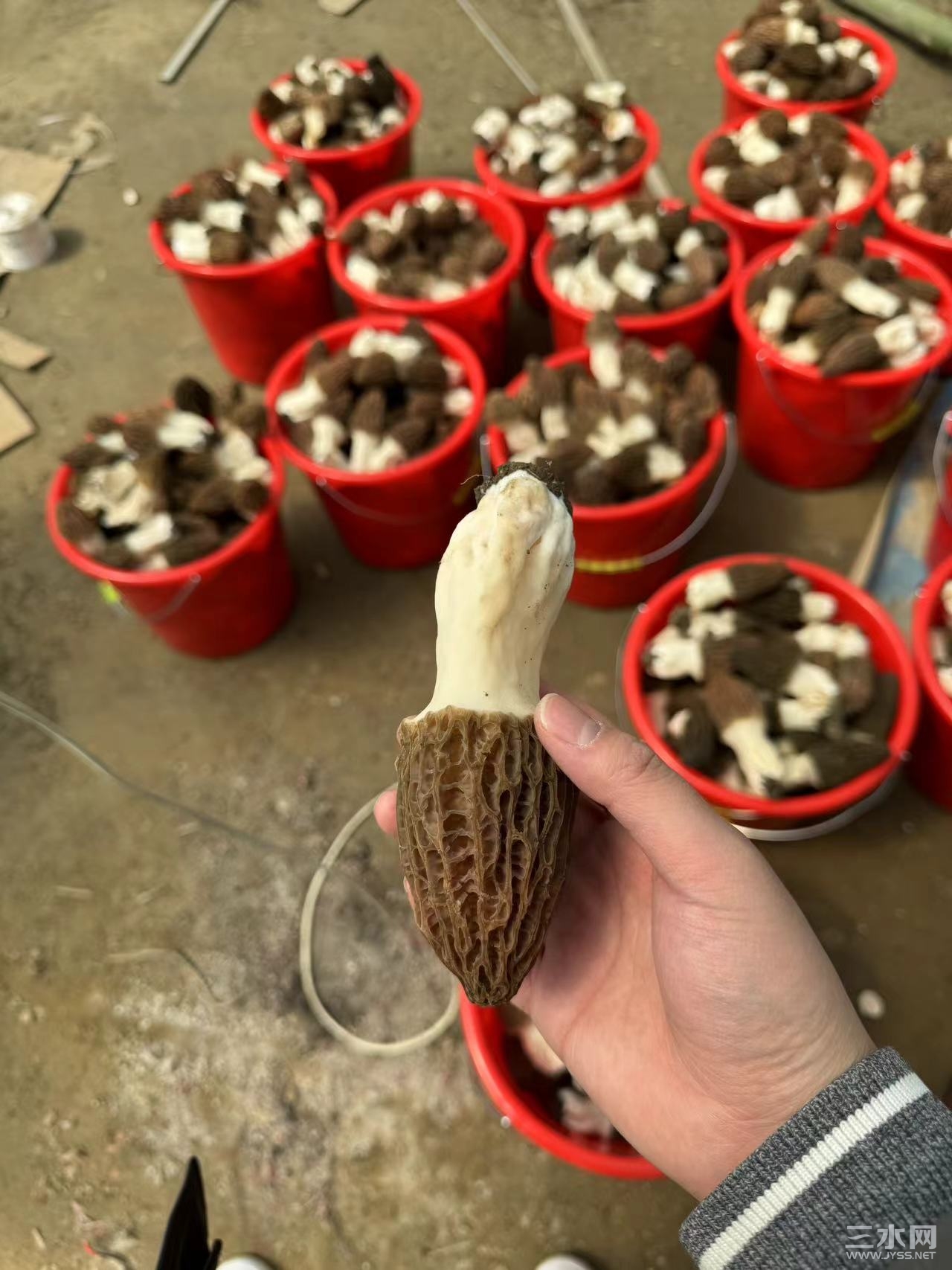 微信图片_20240415071955.jpg