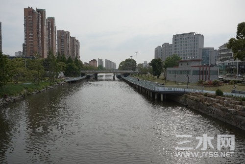 DSC08890.JPG