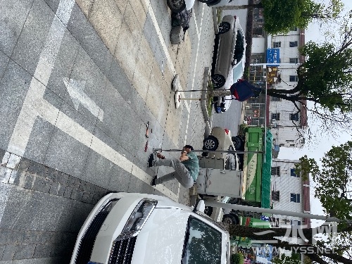 IMG_4204.jpeg