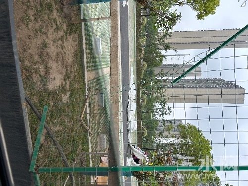 IMG_4670.jpeg