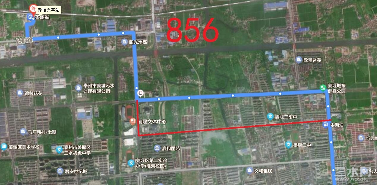 856.jpg
