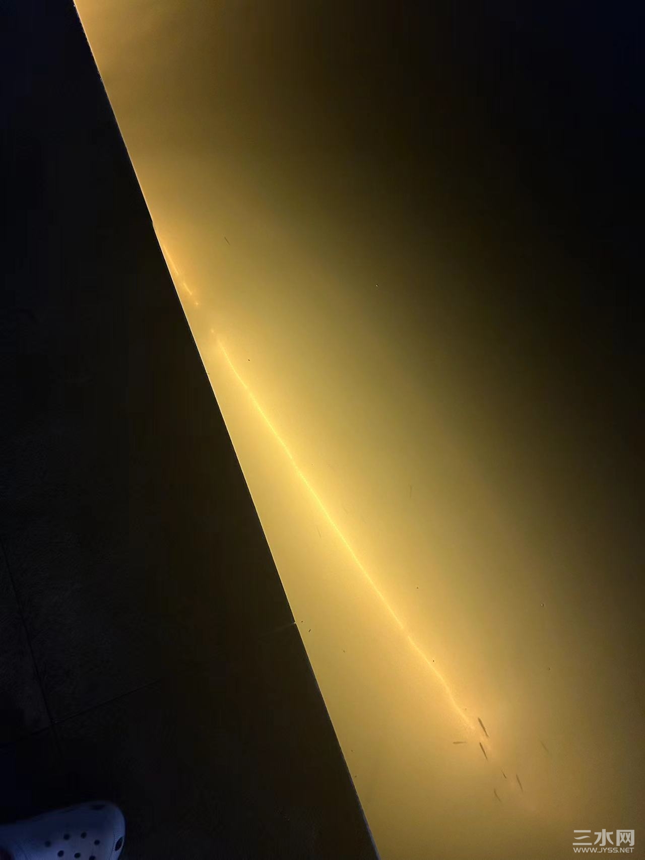 微信图片_20240714200820.jpg