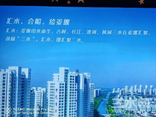 IMG_20240719_203304.jpg