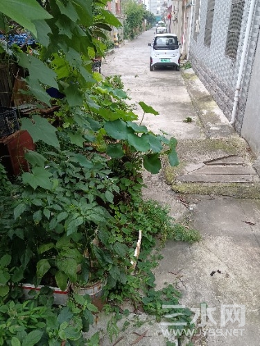IMG_20240719_173106.jpg