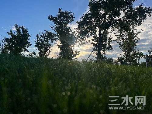 8712B7BD-24CA-4E2B-966C-A3FF5E456A57.jpeg