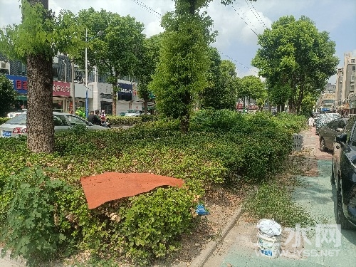 IMG20240910115456.jpg