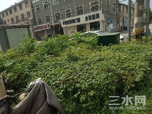 IMG20240910115454.jpg