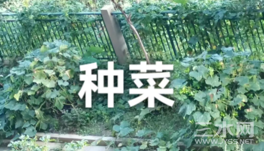 微信图片_20240918145005.png