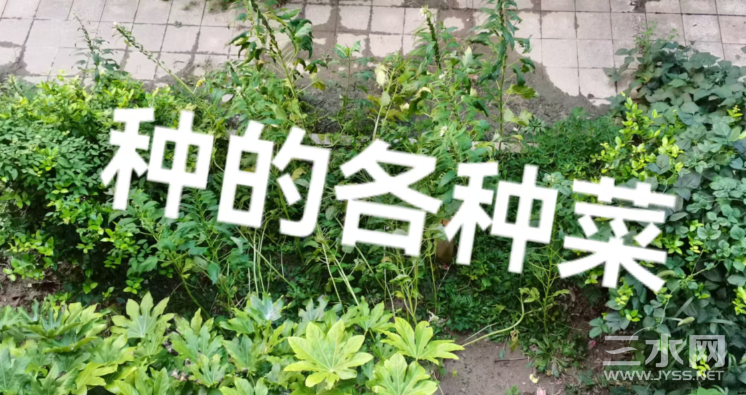 微信图片_20240918144951.png