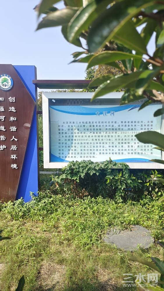 101736wtlzxxnl488yxo41.jpg