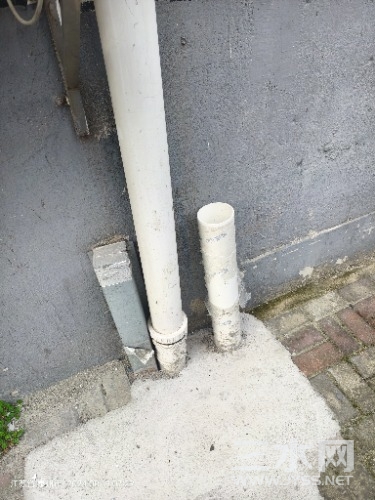 IMG_20240819_072945.jpg