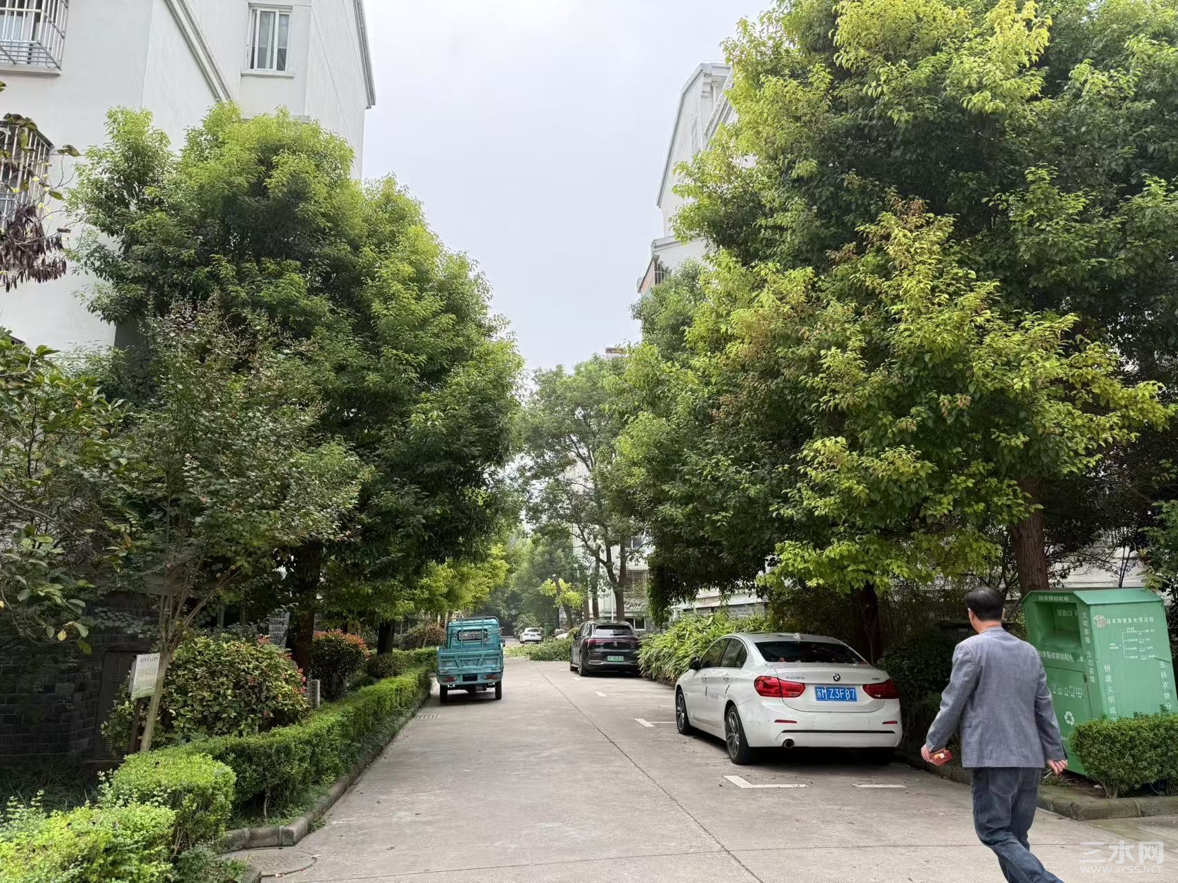 修剪中的树