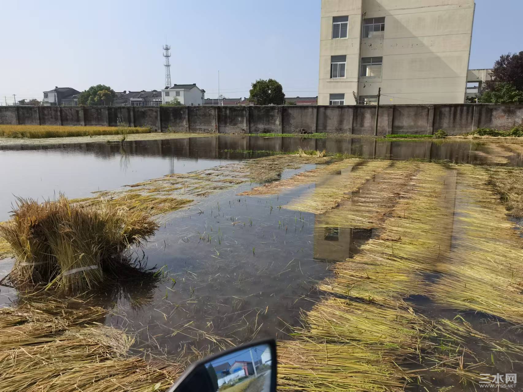 姜堰三水网_20241104_103817.jpg