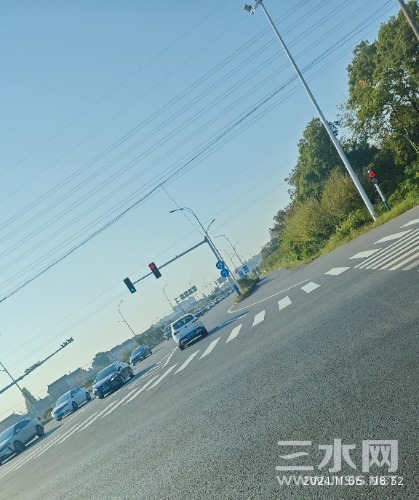 IMG_20241106_083429.jpg