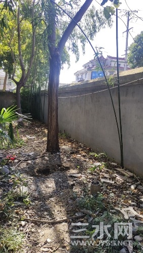 wx_camera_1730865242262.jpg