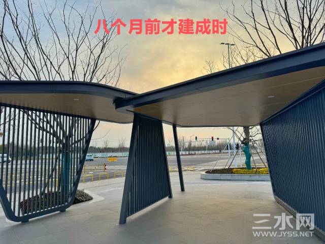 171132msar1zoo1oo60ssh.jpg