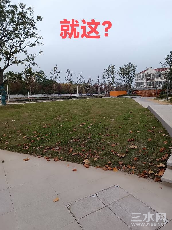 171135uqae2bah2ccaozhg.jpg