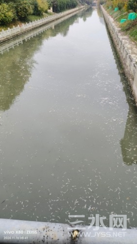 IMG_20241116_084106.jpg