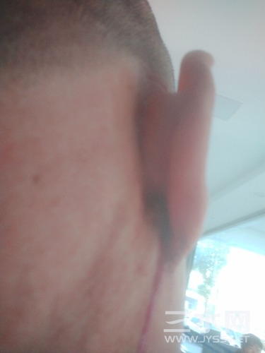 IMG20241220100819.jpg