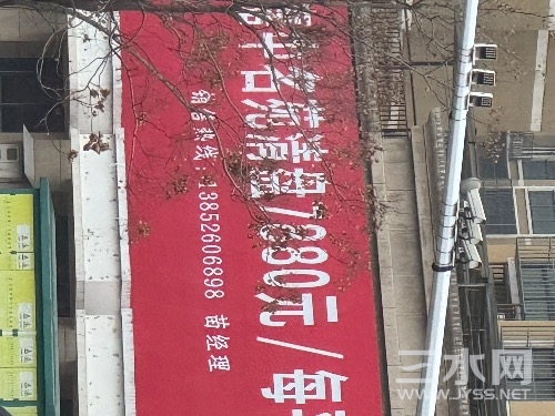 IMG_2375.jpeg