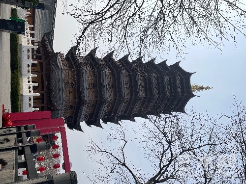 IMG_8463.jpeg