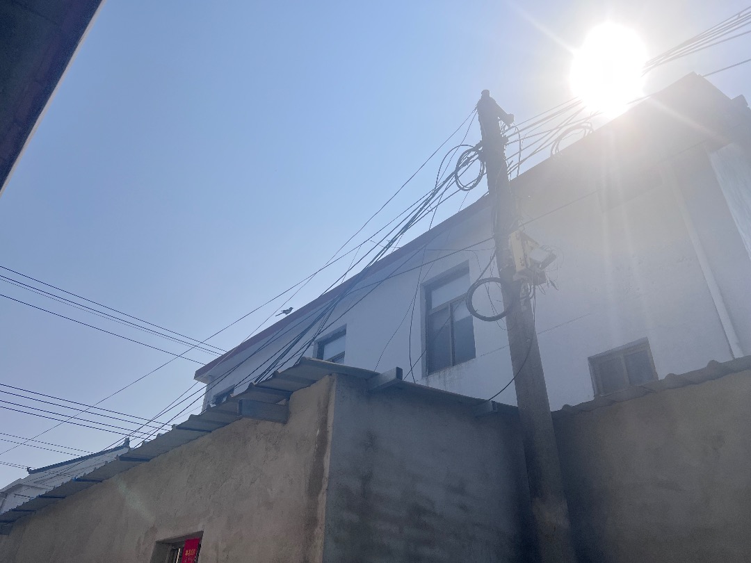 IMG_3809.jpeg