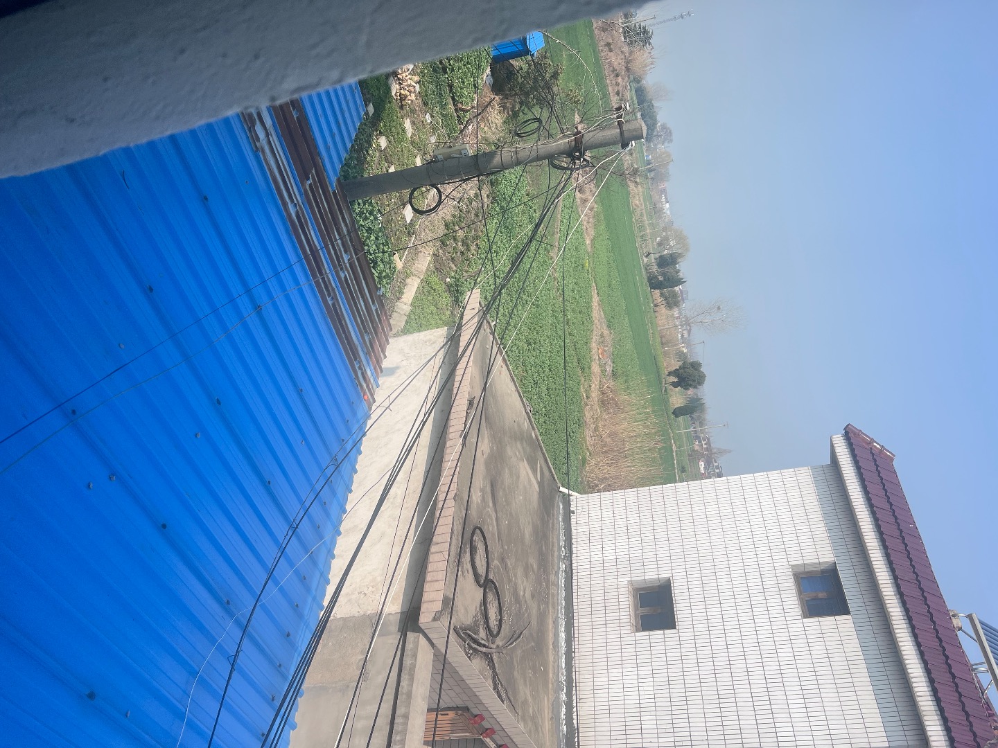 IMG_3805.jpeg