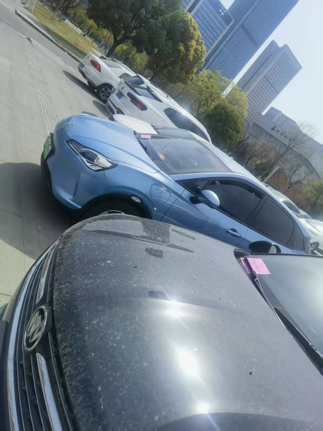 mmexport1743592259144.jpg