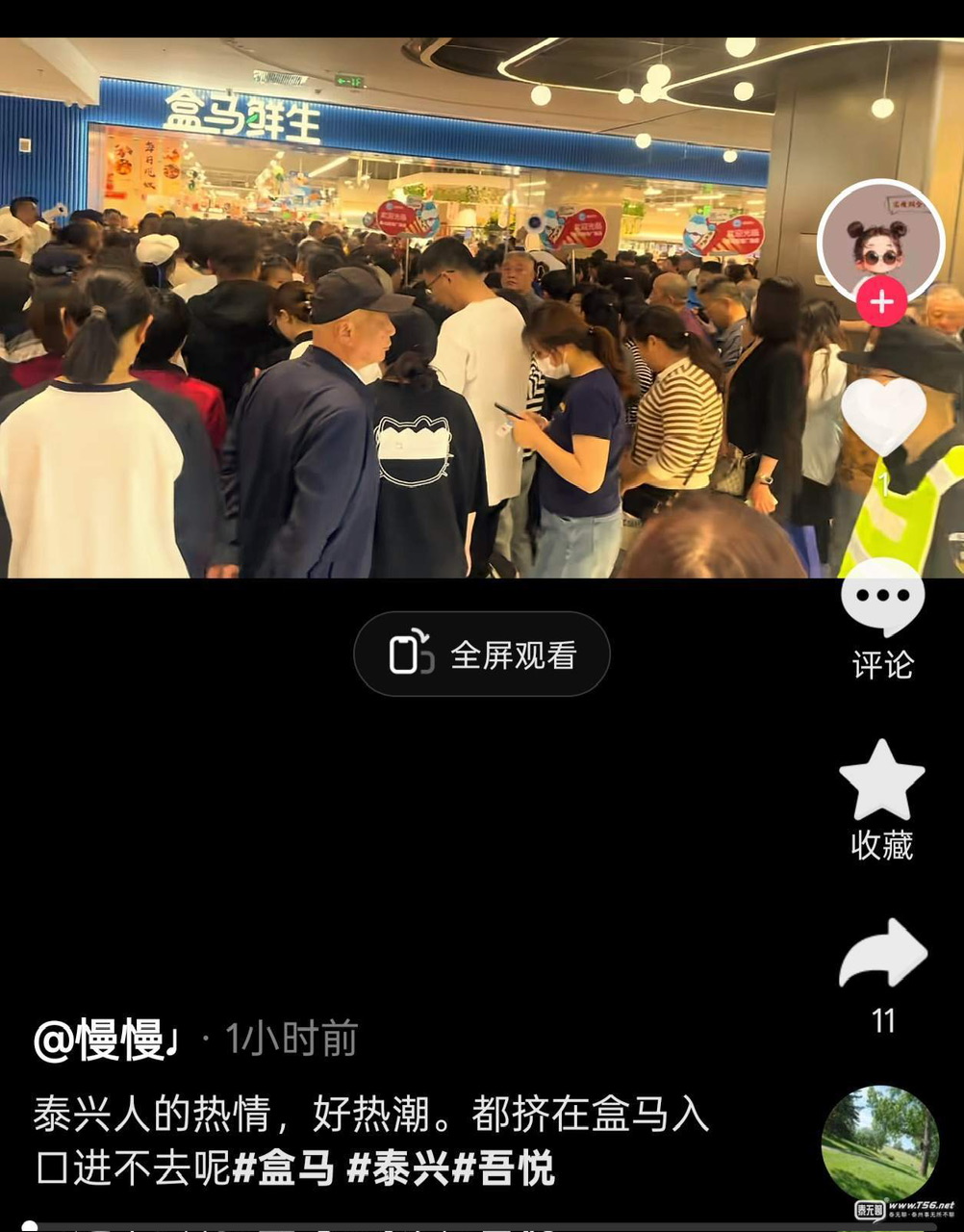 IMG_3592.jpeg