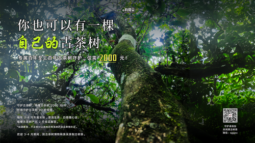 微信图片_20250403141953-缩.PNG
