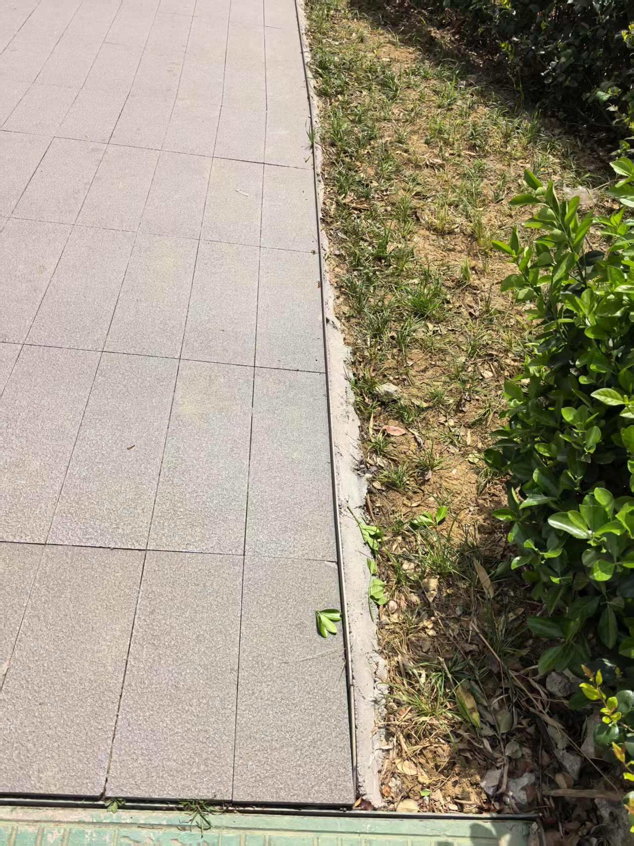 别人家的-路边平整