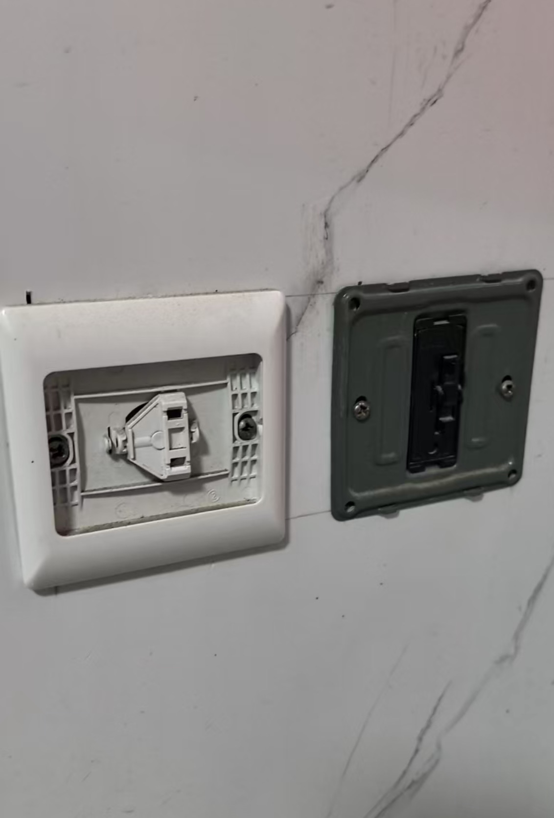 01502aa452b9aacd6e3ebcef60907746.jpeg