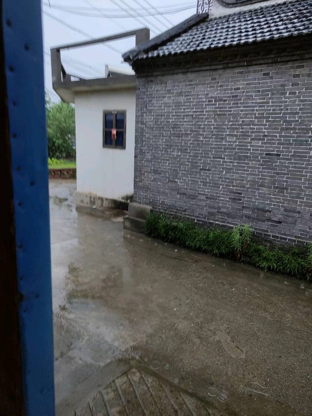 1747337323496_mmexport1699007341981.jpg