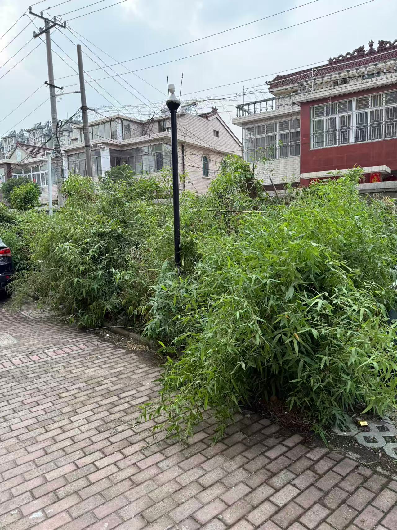 微信图片_20250605083610.jpg