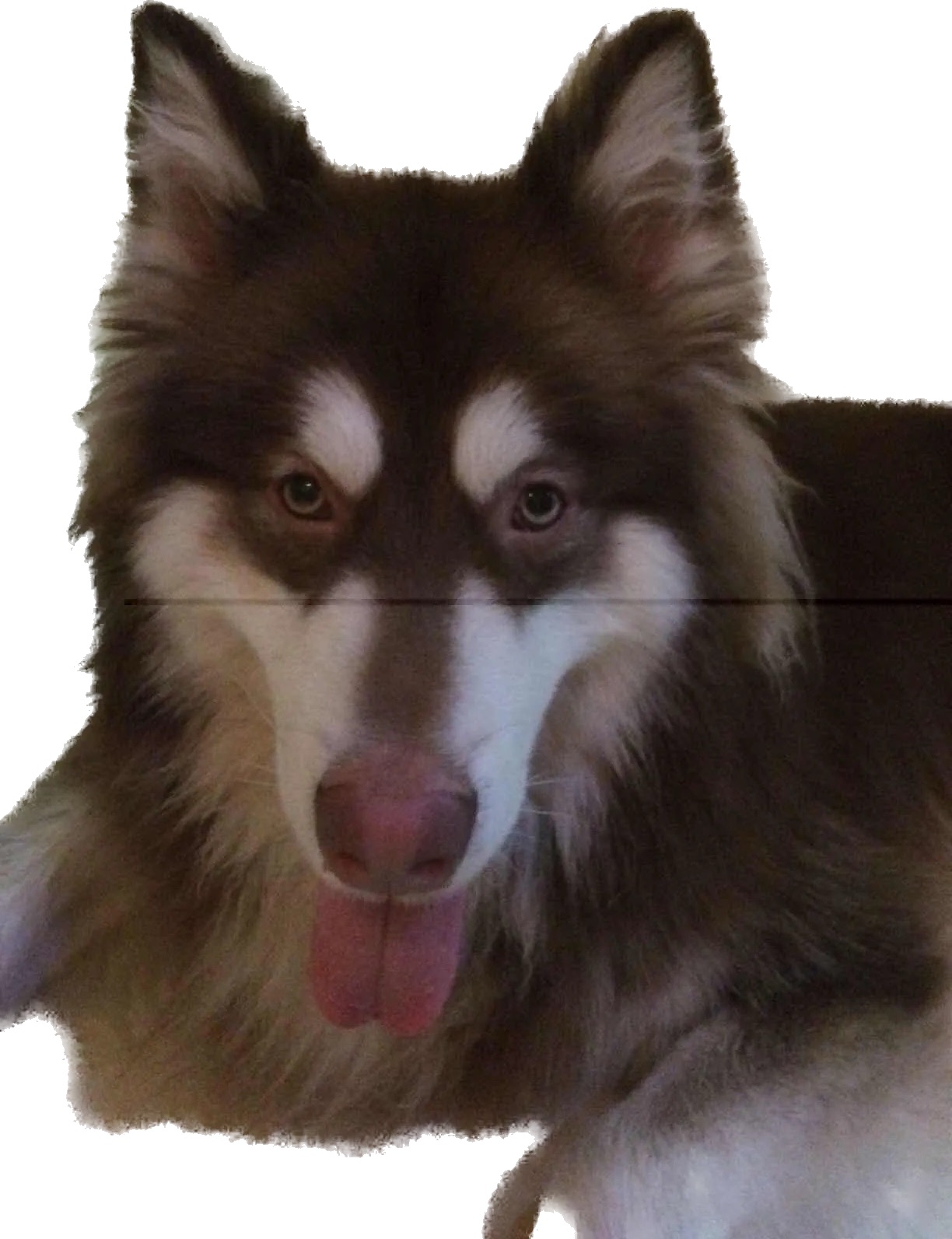 IMG_1174.png