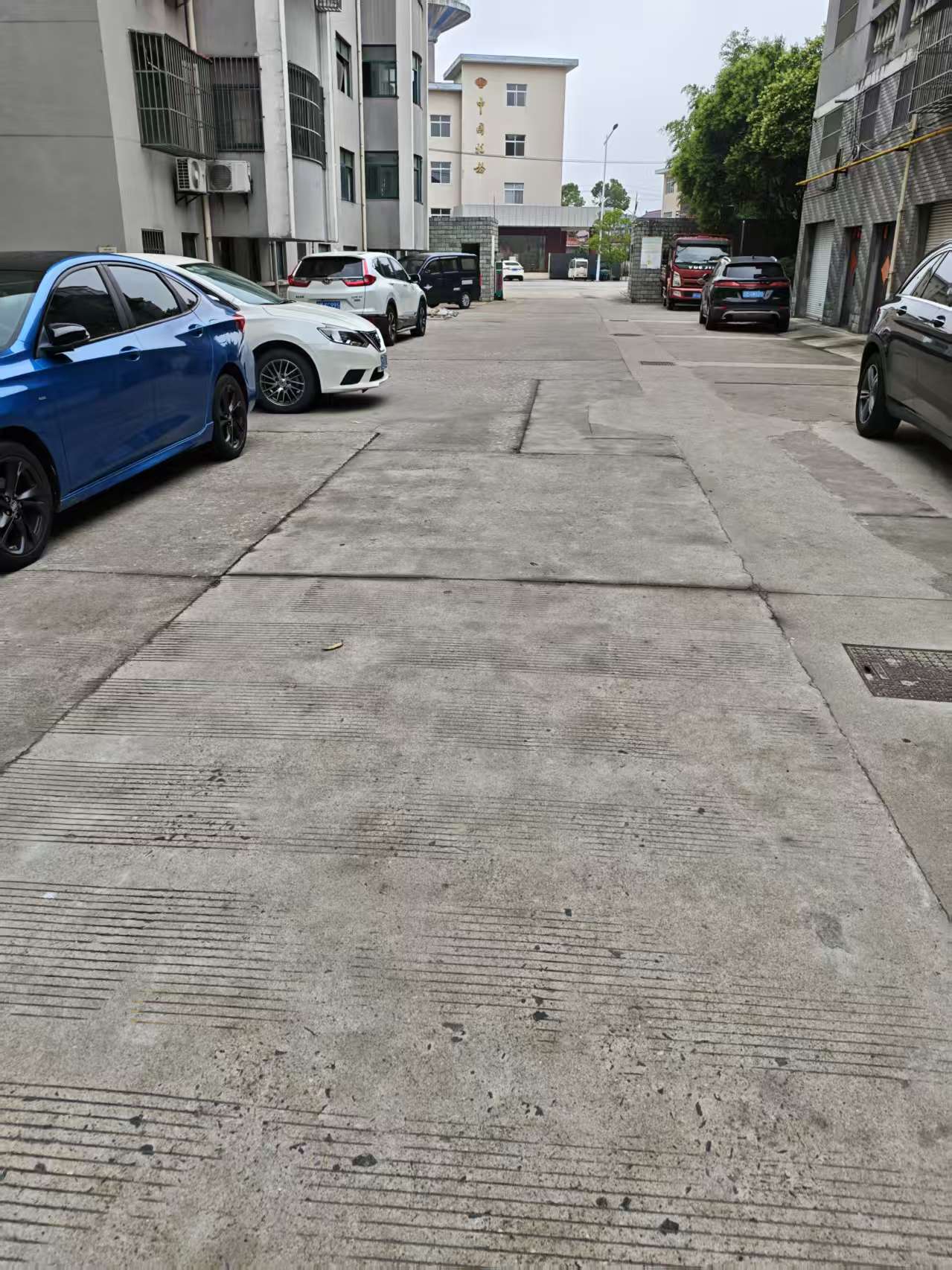 25060902.jpg