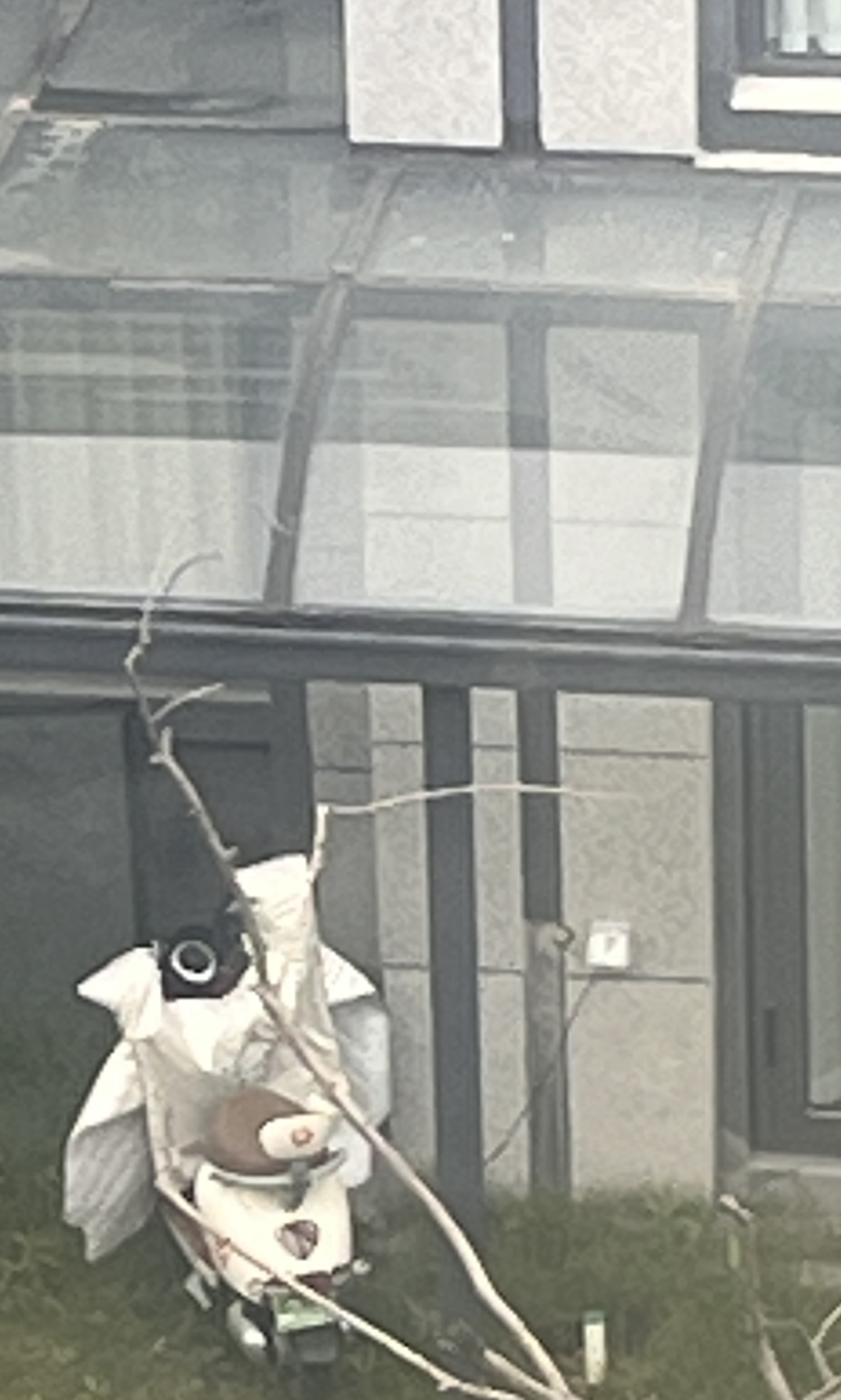 IMG_9130.jpeg