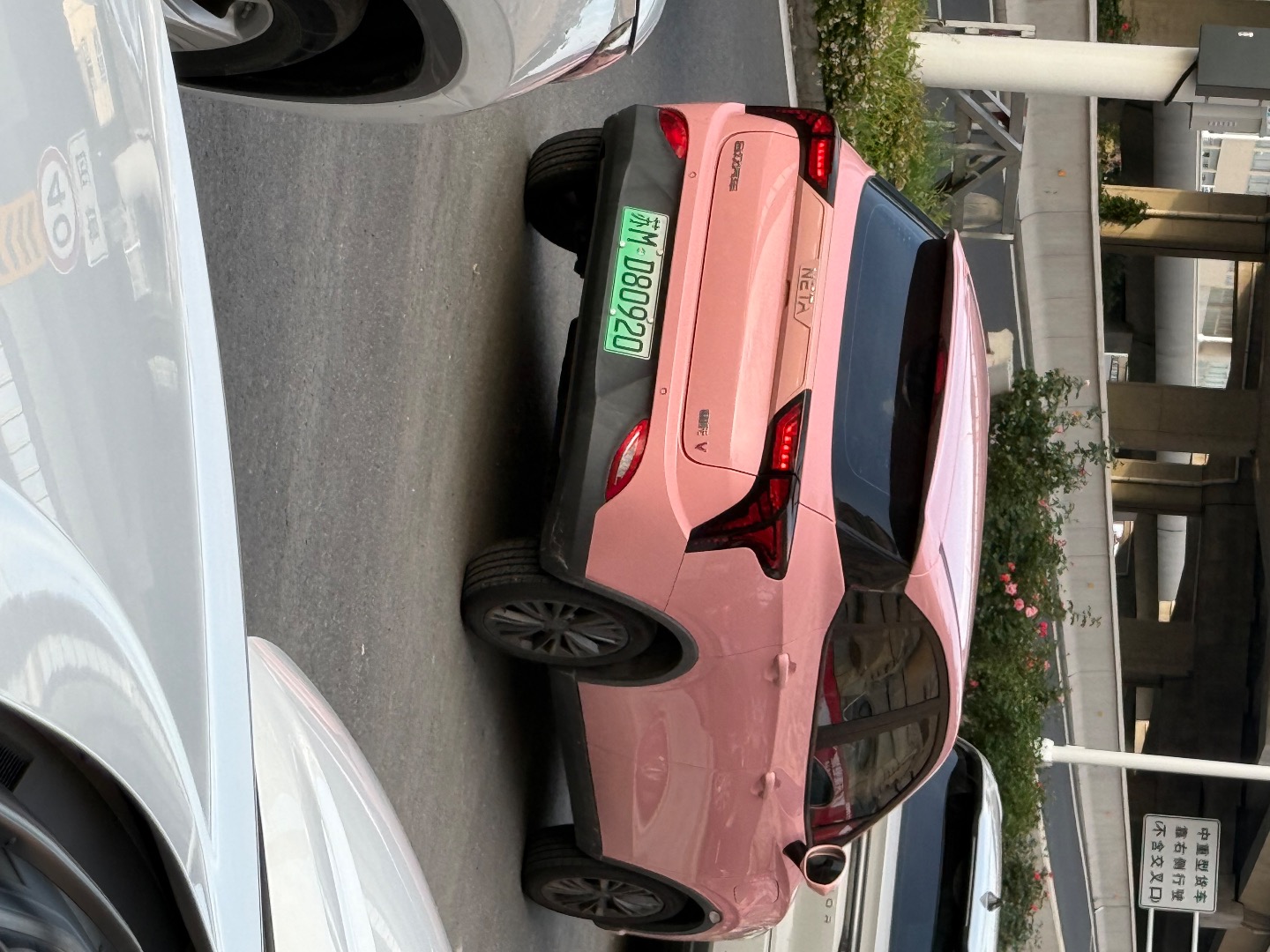 IMG_5956.jpeg