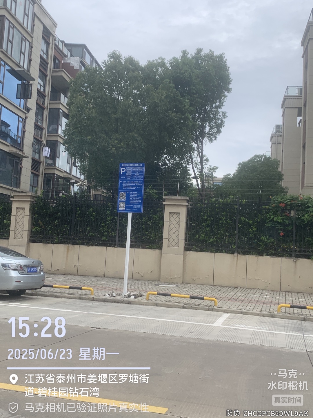IMG_8223.jpeg