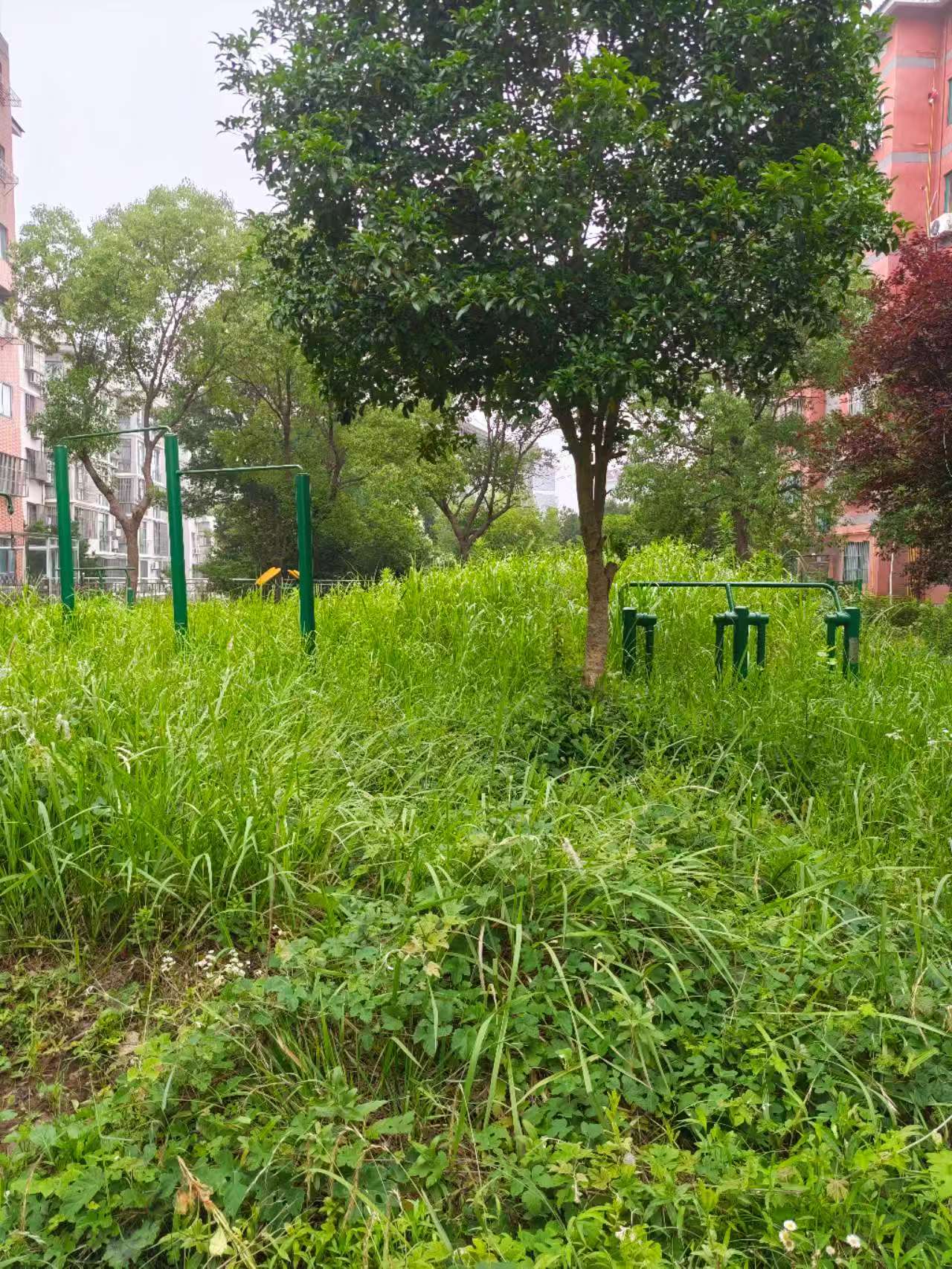 微信图片_20250701093518.jpg