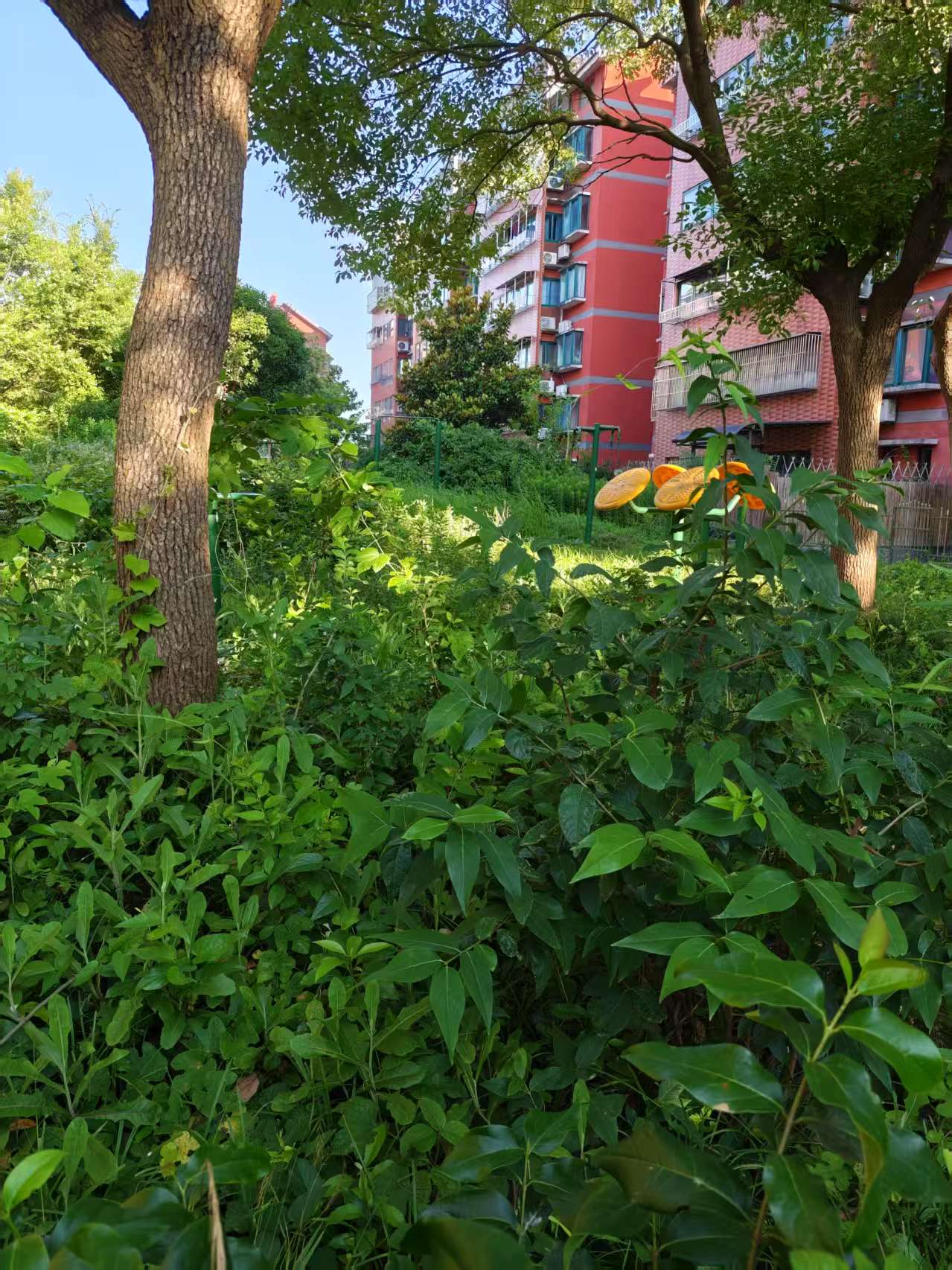 微信图片_20250701093509.jpg