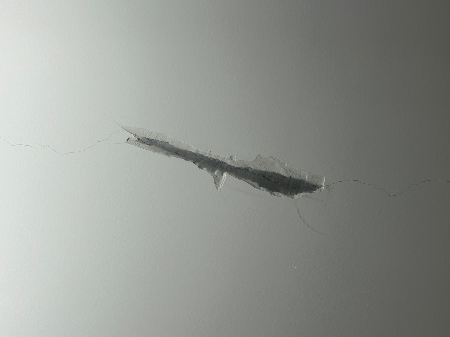 IMG_3276.jpeg