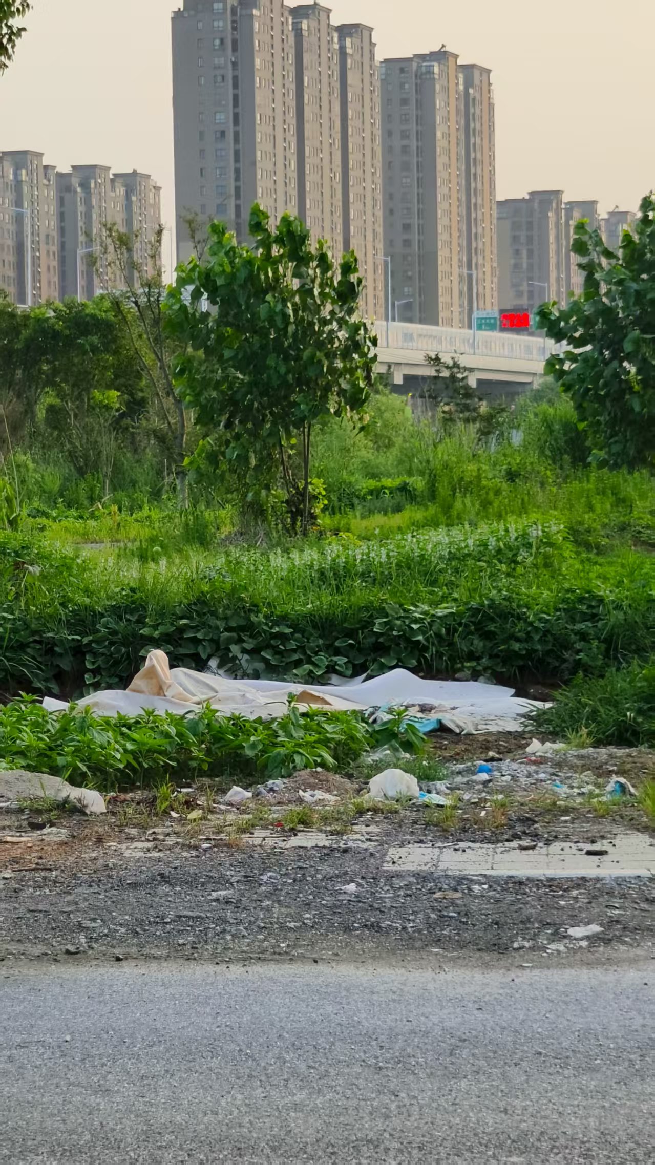 微信图片_20250717111349.jpg