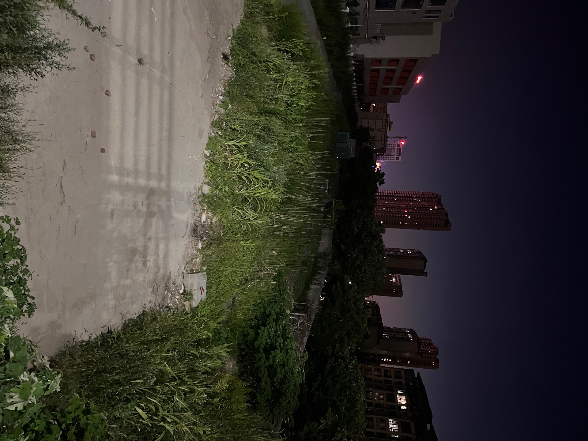 073CAA22-DE0C-44DF-8ADE-87245411FC51.jpeg
